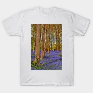 Bluebell Woods Greys Court Oxfordshire England UK T-Shirt